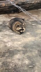 -金庭庄园酒店彩虹厅