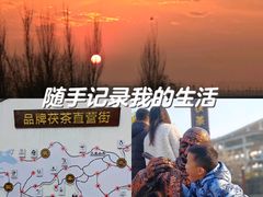 -茯茶镇