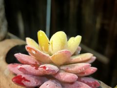-苗湘食府(十年店)
