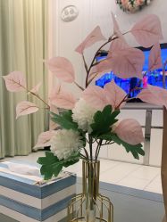 -非常六加一儿童摄影(同安店)