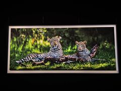 -罗红摄影艺术馆