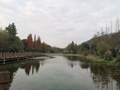 -贵阳市花溪国家城市湿地公园