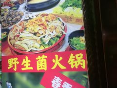 -菌之家·专业纯野生菌火锅·特色炒菌