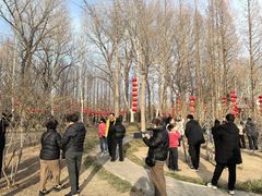 -达活泉公园