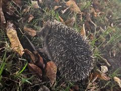 -浙江大学(海宁国际校区)