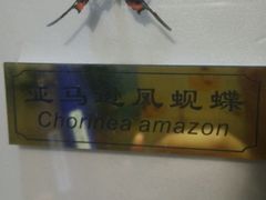 android_upload_pic-上海昆虫博物馆