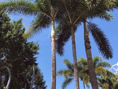 -布里斯班南岸公园