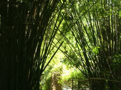 -开平碉楼文化旅游区马降龙景区