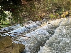 -白鹭湾湿地公园