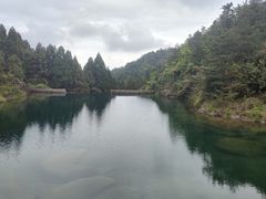 -玉苍山国家森林公园
