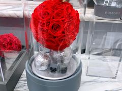 -ROSEONLY诺誓(国际广场购物中心店)