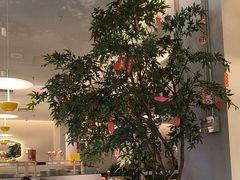 -Aqua Oasis 水天堂(太湖中心mall店)