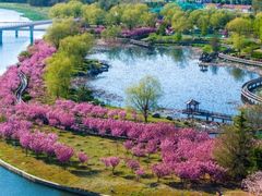 -羊亭河湿地公园