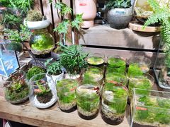 -缦云里花园餐厅
