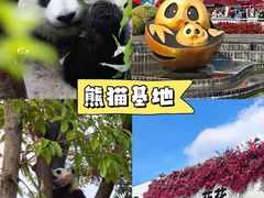 -樽宴酒楼·地道川菜·品质宴请