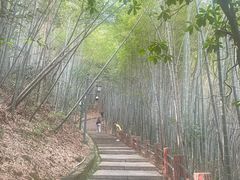 -敬亭山风景名胜区