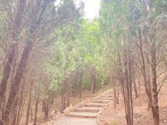 -龙口南山旅游景区