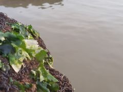 -乌石塘景区