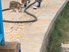 -青岛第三海水浴场