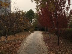 -绿岛公园(滨海新区)