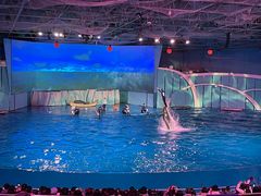-海合安青岛极地海洋公园
