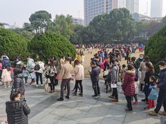 -中国福利会少年宫