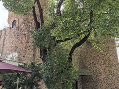 -J Create城市露营咖啡·简餐·宠物(上海动物园店)