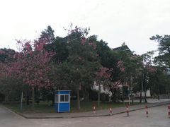 -广东外语外贸大学(白云山校区)