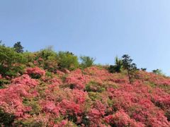 -木兰云雾山