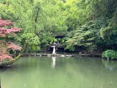 -杭州植物园