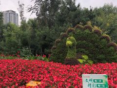 -长白岛森林公园
