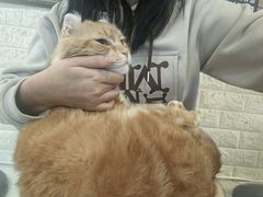 -平行世界·猫咖(首经贸店)