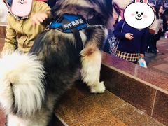 -米莱欧百货(吉利店)