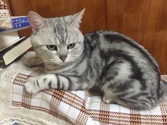 -火锅岛潮牌自助餐厅(天津天佑城店)