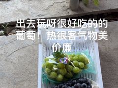 -马陆小张葡萄园农家乐