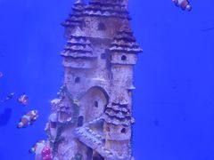-海合安武汉极地海洋公园