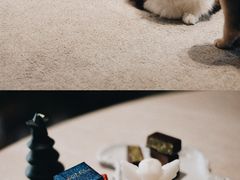 -布歌东京(益田假日店)