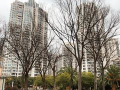 -苏州河梦清园环保主题公园