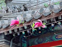 -潭柘寺景区