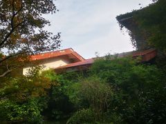 -中国茶叶博物馆(双峰馆区)
