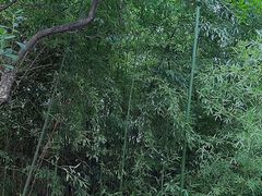 -同里国家湿地公园