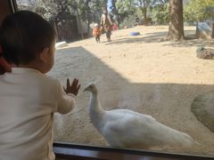 -宁波九龙湖开元度假村
