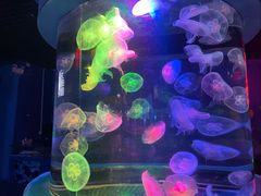 -太平洋海底世界