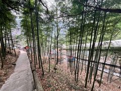 -藏龙百瀑风景区