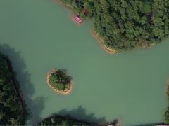 -广州白江湖森林公园