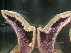 -正佳自然科学博物馆