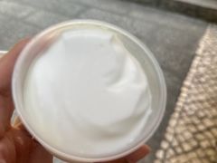 -洪馨椰子