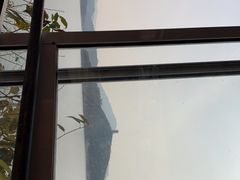-望湖烤鱼