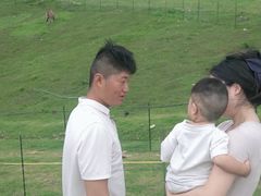 -大姆山草场