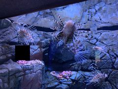 -成都浩海立方海洋公园